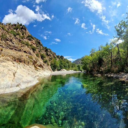 Domaine U Filanciu - Casa Ghjulia - Centru Di Corsica Villa Moltifao Luaran gambar