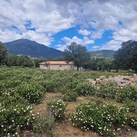Domaine U Filanciu - Casa Ghjulia - Centru Di Corsica Villa Moltifao Luaran gambar