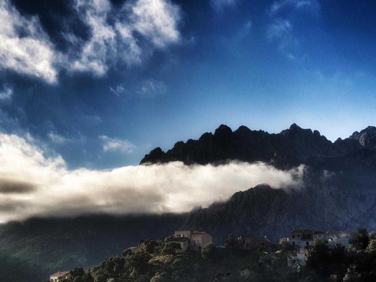 Domaine U Filanciu - Casa Ghjulia - Centru Di Corsica Villa Moltifao Luaran gambar