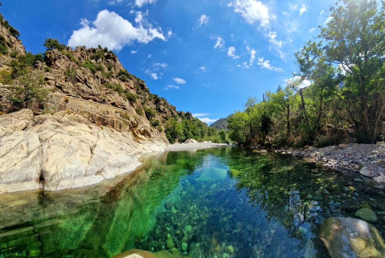 Domaine U Filanciu - Casa Ghjulia - Centru Di Corsica Villa Moltifao Luaran gambar